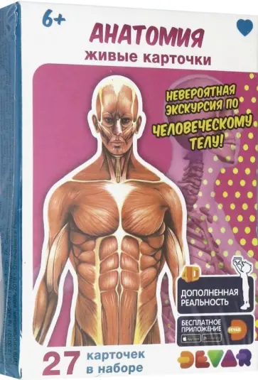 Живые карточки "Анатомия" (27 штук) обложка книги