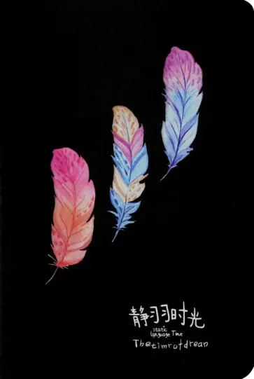 Блокнот 20 листов "FEATHER" черные страницы (M-3829) Блокнот 20 листов "FEATHER" черные страницы (M-3829) обложка книги