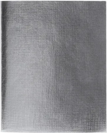 Тетрадь общая "Бумвинил. METALLIC. Серебро" (96 листов, А5, клетка) (96Т5бвВ1) обложка книги