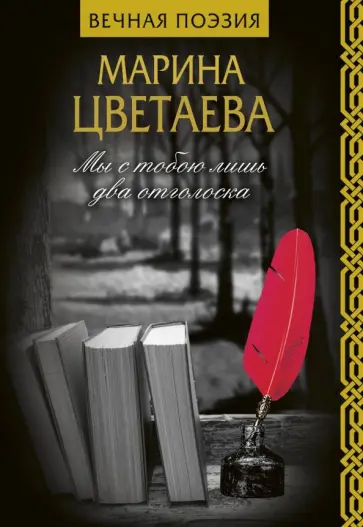 Марина Цветаева - Мы с тобою лишь два отголоска обложка книги