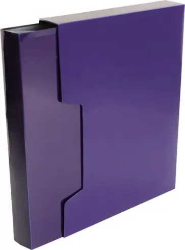 Папка 80 вкладышей "DeLuxe" черничная (DLVBOX80BBERRY) обложка книги