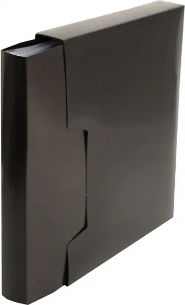 Папка 100 вкладышей, DeLuxe, черная обложка книги