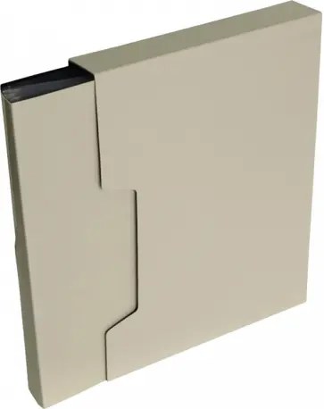 Папка 100 вкладышей, молочная "DeLuxe" (DLVBOX100MILK) обложка книги