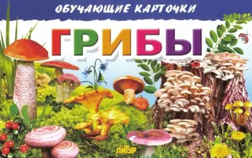Обучающие карточки. Грибы обложка книги