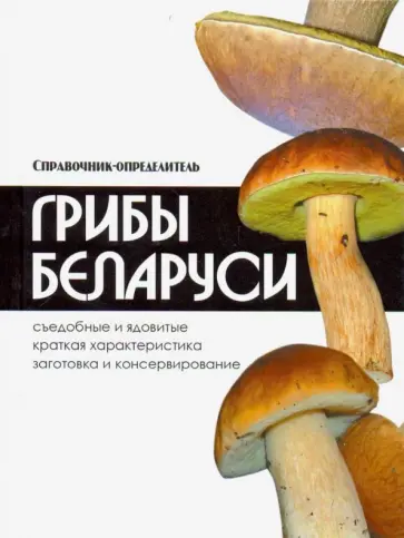 Владимир Адамчик - Грибы Беларуси. Справочник-определитель Владимир Адамчик - Грибы Беларуси. Справочник-определитель обложка книги