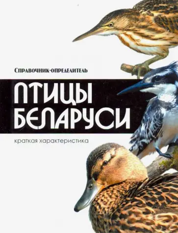 Владимир Адамчик - Птицы Беларуси. Справочник-определитель Владимир Адамчик - Птицы Беларуси. Справочник-определитель обложка книги