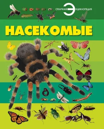 Анна Спектор - Насекомые обложка книги