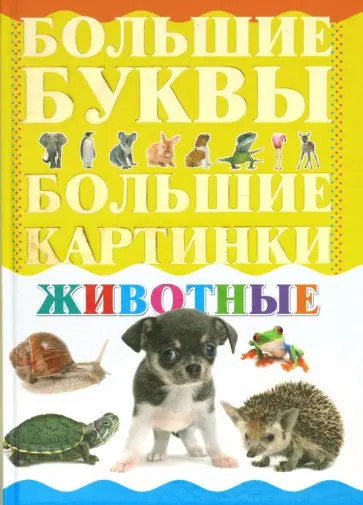Животные Животные обложка книги