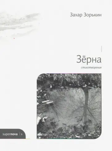 Захар Зорькин - Зёрна Захар Зорькин - Зёрна обложка книги
