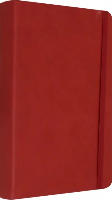 Бизнес-блокнот "Casual" клетка, красный (21202/08) обложка книги