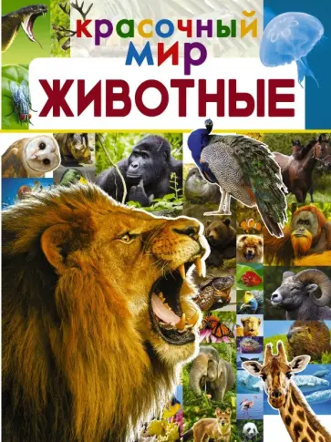 Вайткене, Филиппова - Животные Вайткене, Филиппова - Животные обложка книги