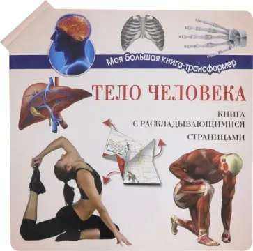 Тело человека Тело человека обложка книги