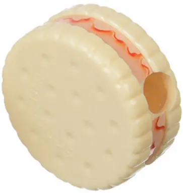 Точилка  "Солнечная коллекция. Cookies" (в ассортименте) (192011) обложка книги