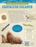 Миниатюра 3