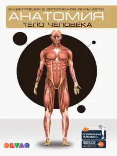 Энциклопедия: Анатомия: тело человека обложка книги