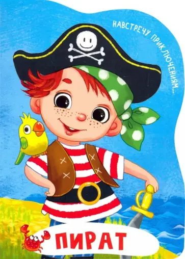 Анна Купырина - Пират обложка книги