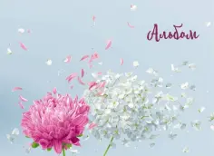 Альбом для рисования "Астры" (40 листов, А4, пружина) обложка книги