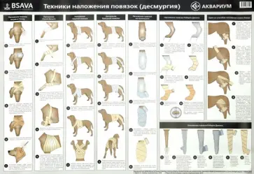 Mullineaux, Jones - Плакат "Техника наложения повязок" (в тубусе) Mullineaux, Jones - Плакат "Техника наложения повязок" (в тубусе) обложка книги