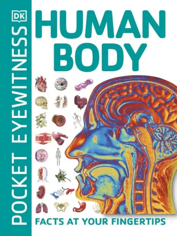 Human Body. Facts at Your Fingertips обложка книги