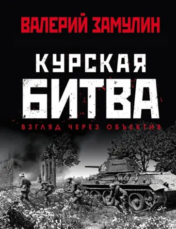 Валерий Замулин - Курская битва. Взгляд через объектив Валерий Замулин - Курская битва. Взгляд через объектив обложка книги