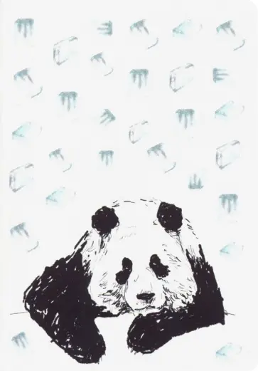 Блокнот "Панда и лёд" (18 листов, А6, нелинованный) обложка книги