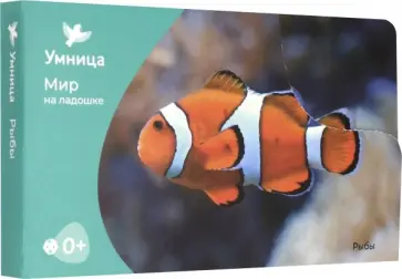 Мир на ладошке. Рыбы (24 карточки) Мир на ладошке. Рыбы (24 карточки) обложка книги