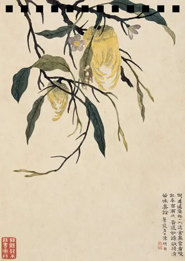 Блокнот "Желтые плоды Рука Будды" (28 листов, 115х165 мм, нелинованный, спираль) обложка книги