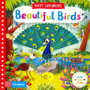 Beautiful Birds обложка книги