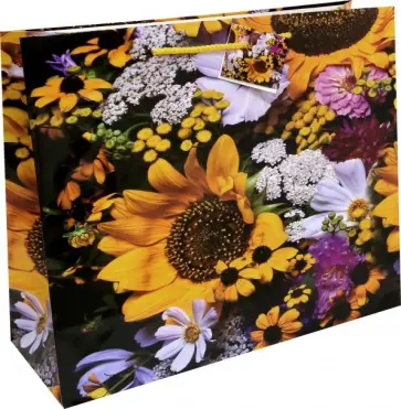 Пакет бумажный подарочный "Цветы" (33x27x12 см) (M-8037DS) обложка книги