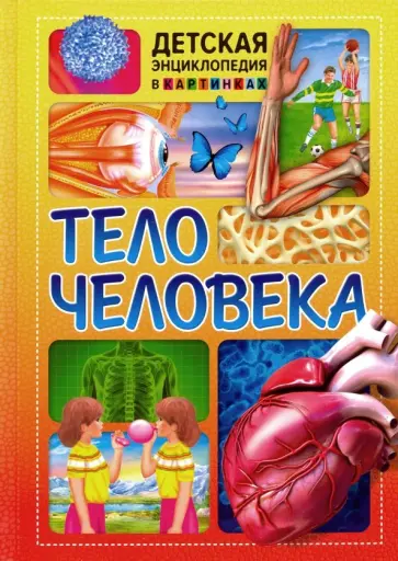 Тело человека Тело человека обложка книги