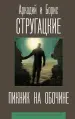 Миниатюра 1