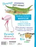 Миниатюра 3