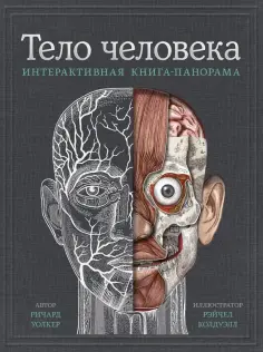 Что подарить ребенку? Подборка книг с вау-эффектом | Лабиринт | Дзен