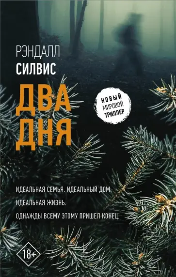 Рэндалл Силвис - Два дня обложка книги