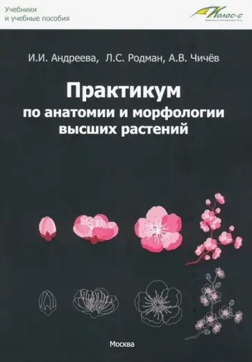 Андреева, Чичев - Практикум по анатомии и морфологии высших растений. Учебное пособие Андреева, Чичев - Практикум по анатомии и морфологии высших растений. Учебное пособие обложка книги