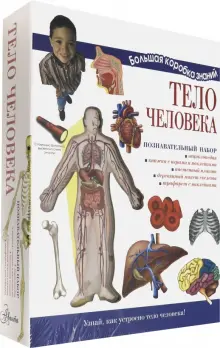 Книга: "Тело человека. Познавательный набор" - Мария Торчинская. Купить ...