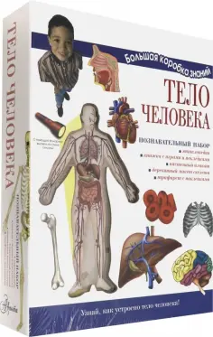 Большая коробка знаний