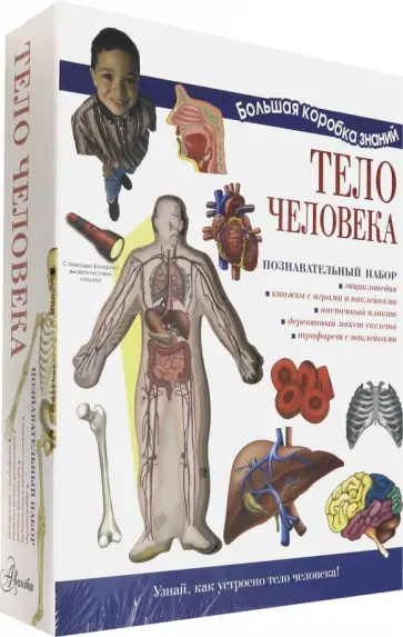 Мария Торчинская - Тело человека. Познавательный набор Мария Торчинская - Тело человека. Познавательный набор обложка книги