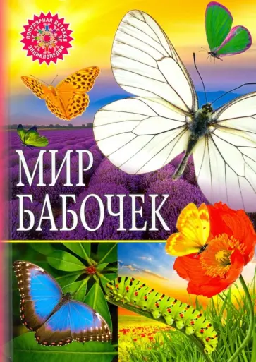 Мир бабочек Мир бабочек обложка книги