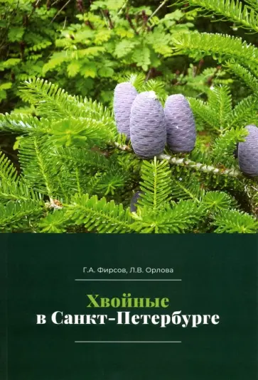 Фирсов, Орлова - Хвойные в Санкт-Петербурге обложка книги