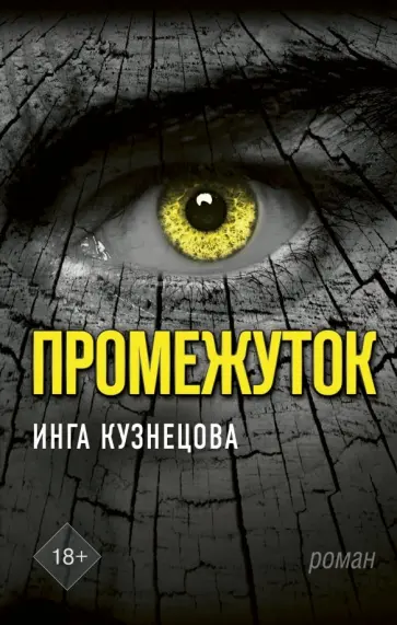 Инга Кузнецова - Промежуток обложка книги