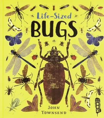 John Townsend - Life-Sized Bugs обложка книги