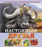 Баголи Илона