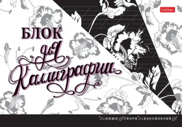 Тетрадь для каллиграфи, 48 листов, А5 "Пиши, твори, вдохновляй" (48Тп5лВ5_22375) обложка книги