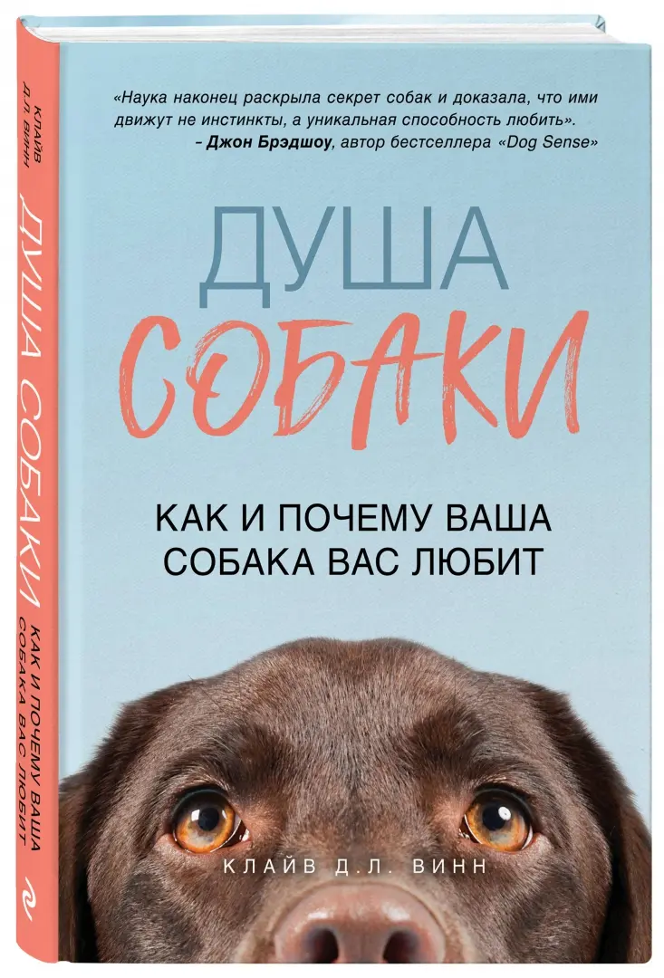 Книга: 