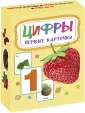 Гусева Юлия Евгеньевна