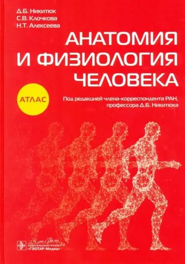 Никитюк, Клочкова - Анатомия и физиология человека. Атлас Никитюк, Клочкова - Анатомия и физиология человека. Атлас обложка книги