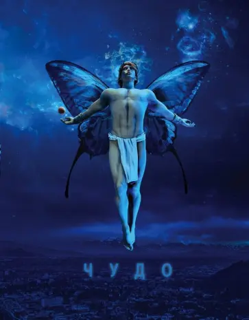 Владимир Алексеев - Чудо Владимир Алексеев - Чудо обложка книги