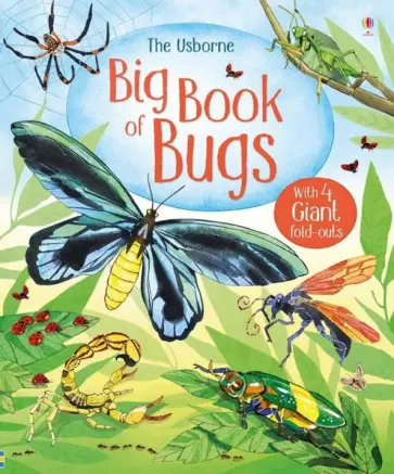 Emily Bone - Big Book of Bugs обложка книги