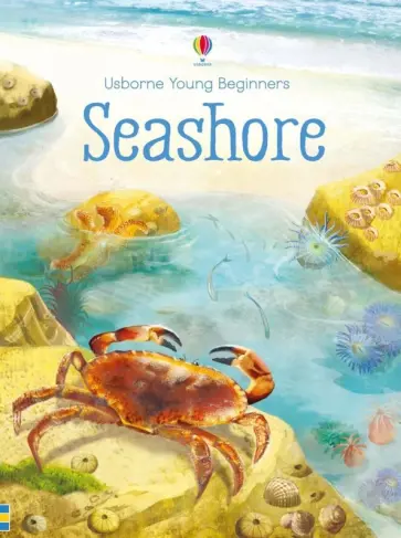 Emily Bone - Seashore обложка книги